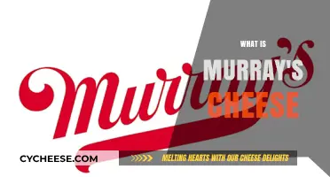 Discover Murray's Cheese: A Gourmet's Guide to Artisan Cheeses