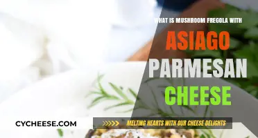 A Hearty Dish: Mushroom Fregola, Asiago, and Parmesan