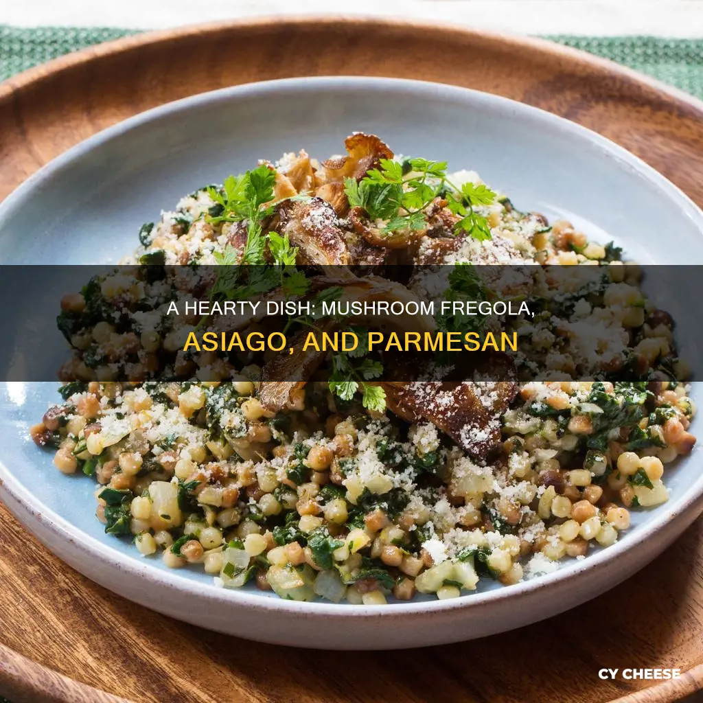 what is mushroom fregola with asiago parmesan cheese