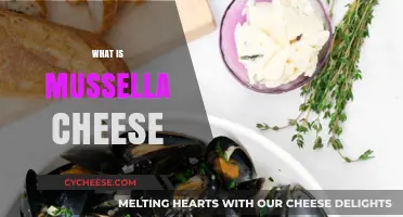 Discover the Rich, Creamy Delight of Mussella Cheese: A Guide