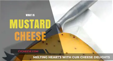 Discover the Unique Flavor of Mustard Cheese: A Tasty Guide