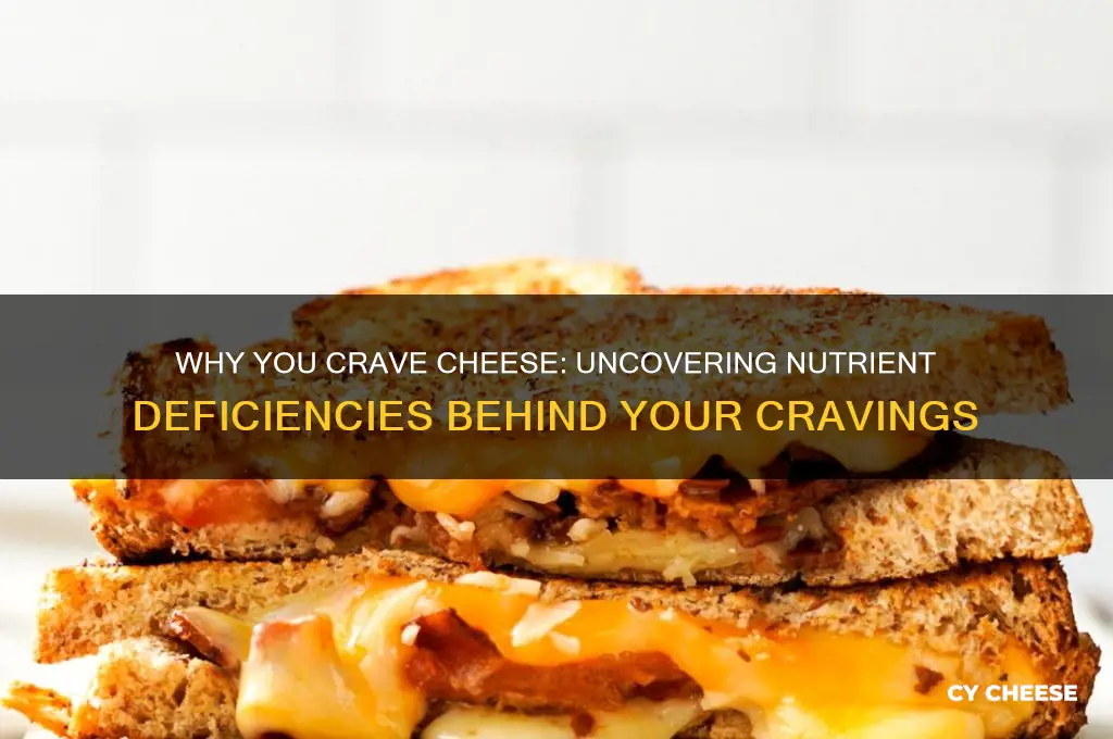 what is my body lacking if i crave cheese