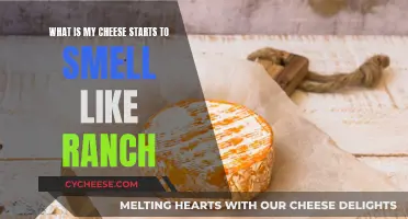 Uncovering the Mystery: Why Your Cheese Smells Like Ranch