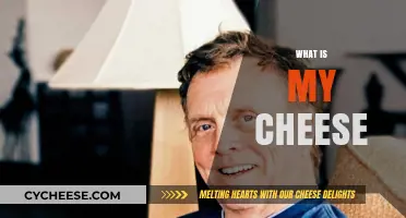 Discovering Your Cheese: Unraveling the Metaphor for Personal Growth