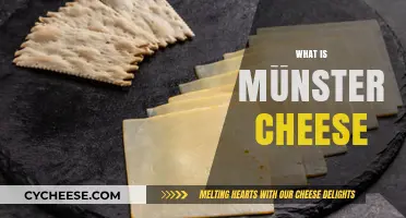 Discover Münster Cheese: A Rich, Creamy French Delight Explained