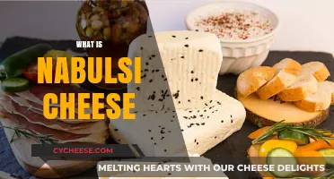 Discover Nabulsi Cheese: A Middle Eastern Culinary Treasure and Its Uses
