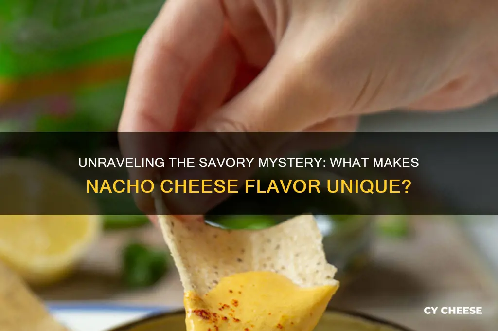 what is nacho cheese flavor