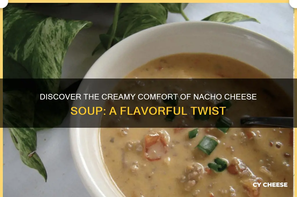 what is nacho cheese soup