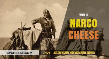 Exploring Narco Cheese: Origins, Uses, and Cultural Significance Unveiled