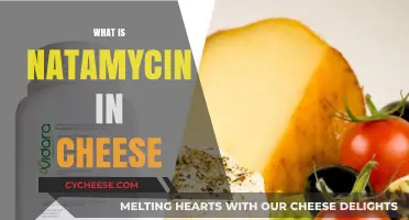 Understanding Natamycin: Its Role and Safety in Cheese Production