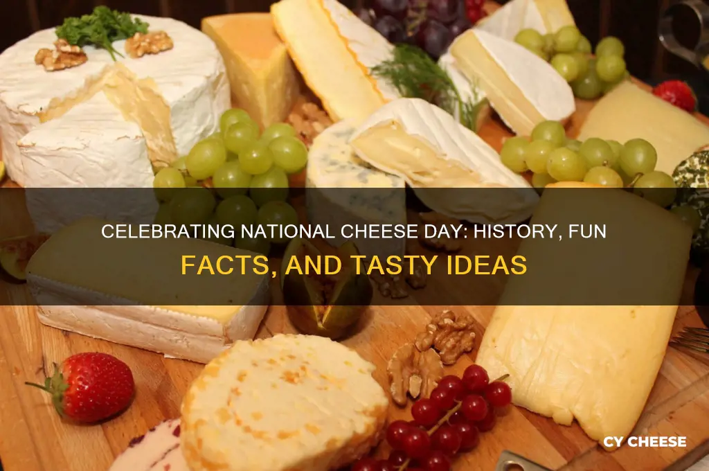 what is national cheese day