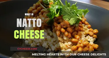 Discover Natto Cheese: A Unique Fermented Food Fusion Explained