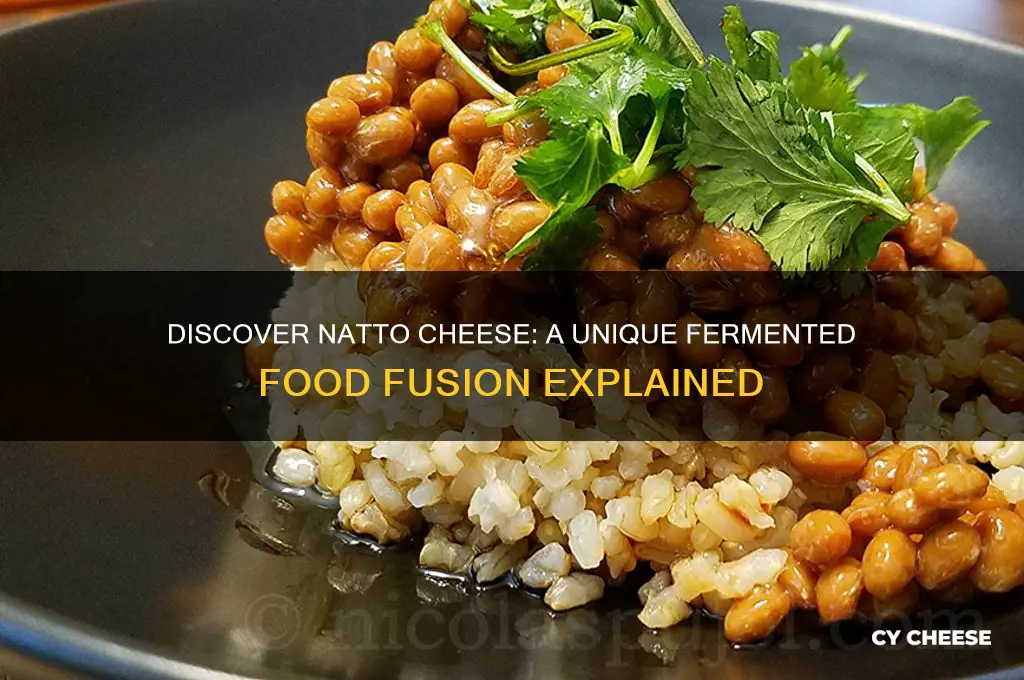 what is natto cheese