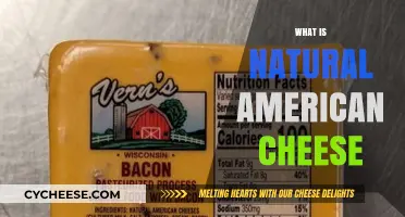 Exploring Natural American Cheese: Ingredients, Production, and Flavor Profile