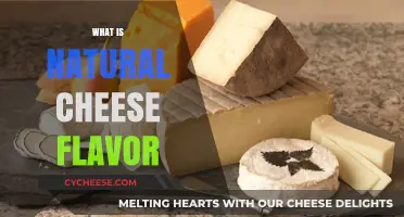 Understanding Natural Cheese Flavor: Ingredients, Process, and Culinary Uses