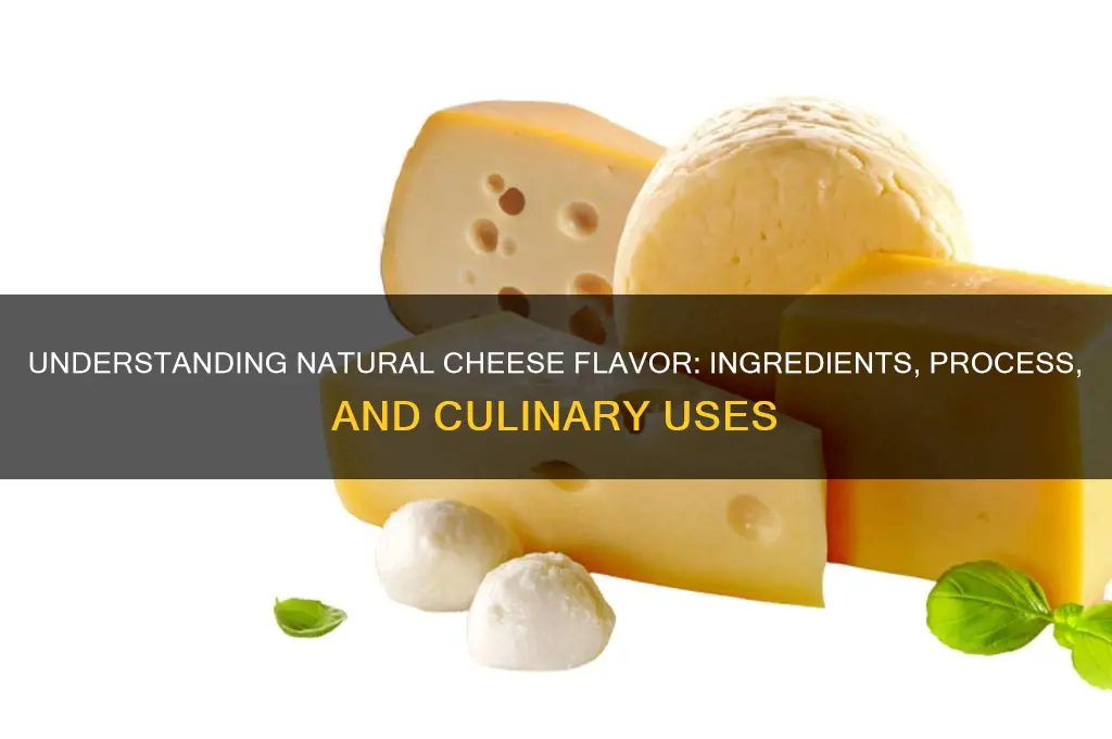 what is natural cheese flavor