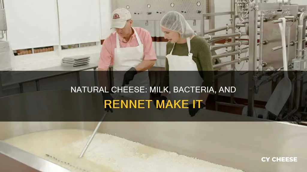 what is natural cheese made of