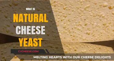 Understanding Natural Cheese Yeast: Benefits, Uses, and Fermentation Process