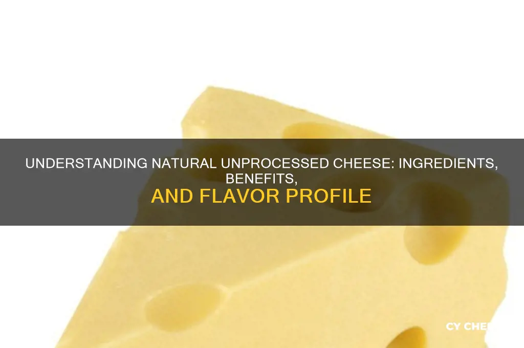 what is natural unprocessed cheese