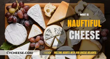 Exploring the Unique Flavor and Texture of Nauftiful Cheese