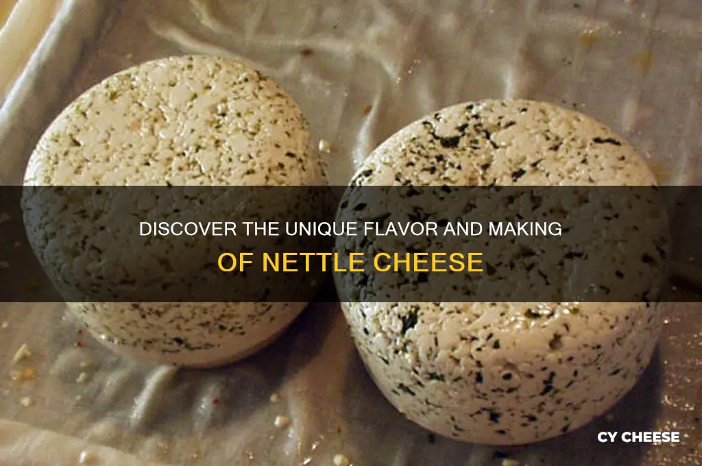 what is nettle cheese