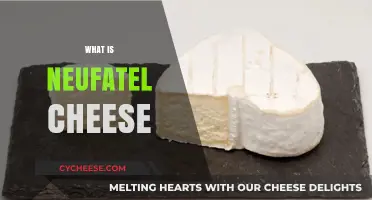 Discovering Neufchâtel Cheese: Origins, Flavor, and Culinary Uses