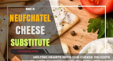 Discover the Best Neufchâtel Cheese Substitute for Your Recipes