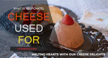 Neufchatel Cheese: Uses and Applications