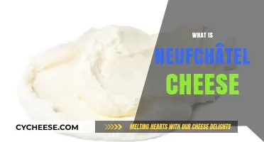 Discover the Creamy, Nutty Delight of Neufchâtel Cheese