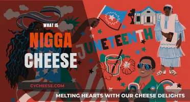 Exploring the Controversial and Misunderstood Origins of Nigga Cheese