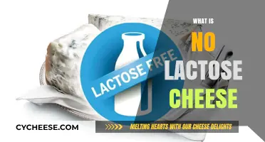Understanding No Lactose Cheese: Benefits, Types, and How It's Made