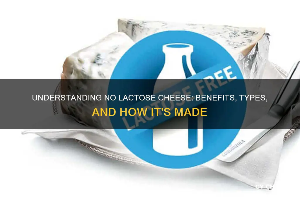 what is no lactose cheese