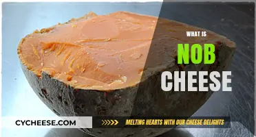 Discovering Nob Cheese: Origins, Flavor, and Culinary Uses Explained