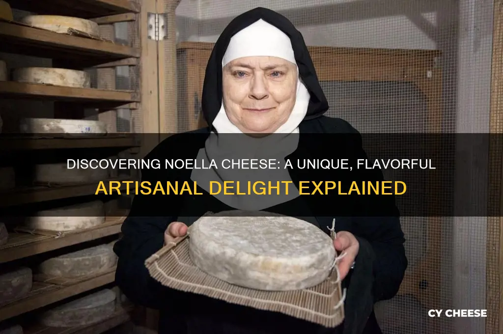 what is noella cheese