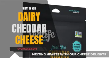 Exploring the Creamy World of Non-Dairy Cheddar: A Vegan's Delight