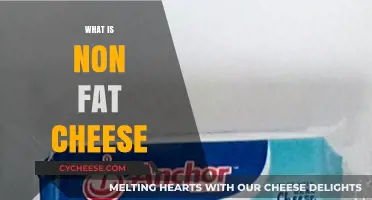 Understanding Non-Fat Cheese: Ingredients, Benefits, and Culinary Uses Explained