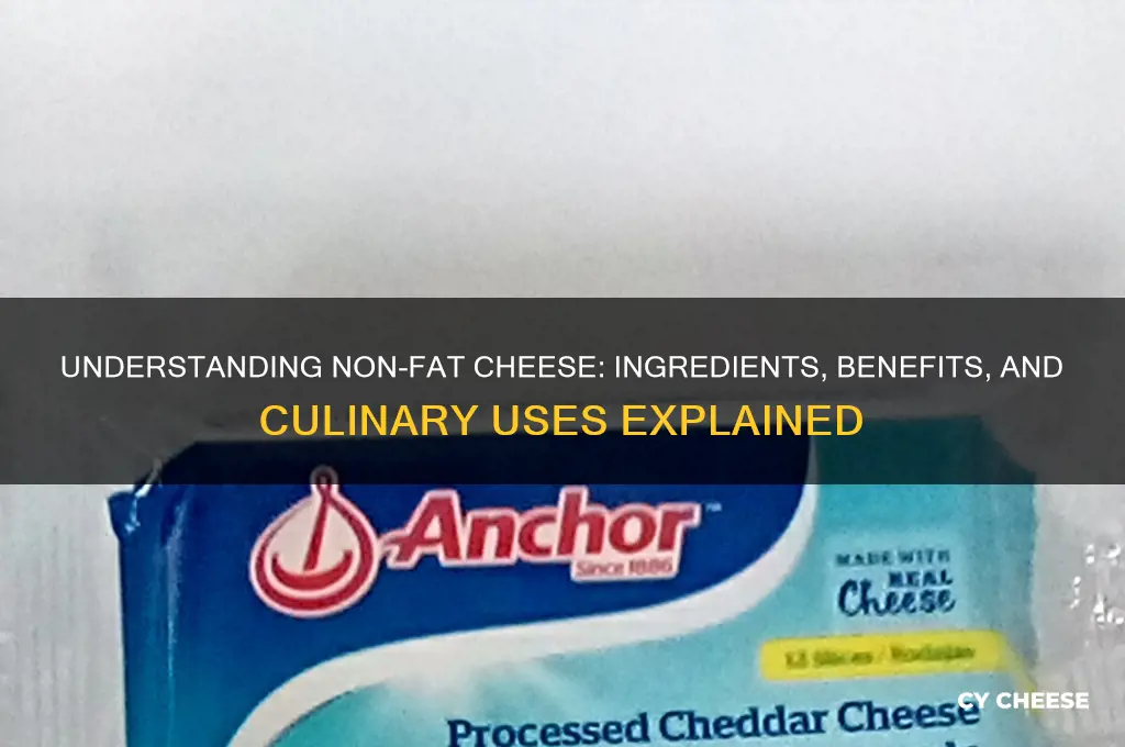 what is non fat cheese