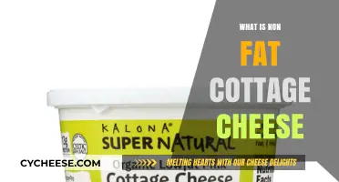 Understanding Non-Fat Cottage Cheese: Benefits, Uses, and Nutritional Value