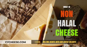 Understanding Non-Halal Cheese: Ingredients, Production, and Certification Explained