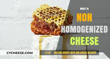 Understanding Non-Homogenized Cheese: Benefits, Texture, and Flavor Explained