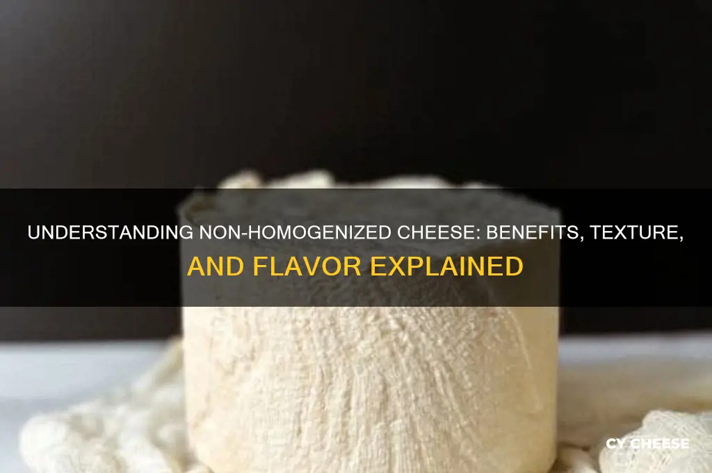 what is non homogenized cheese