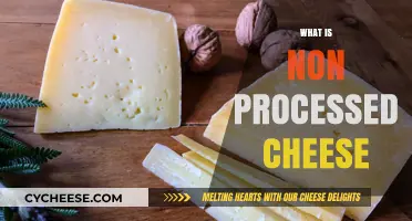 Understanding Non-Processed Cheese: Natural, Artisanal, and Unprocessed Varieties