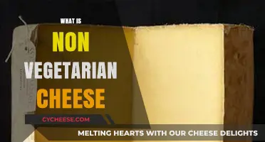 Understanding Non-Vegetarian Cheese: Ingredients, Types, and Culinary Uses
