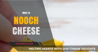 Discover Nooch Cheese: A Vegan, Nutritional Yeast-Based Delight