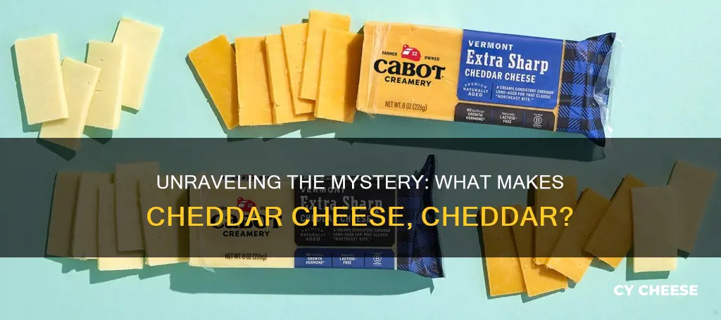 what is normal cheddar cheese