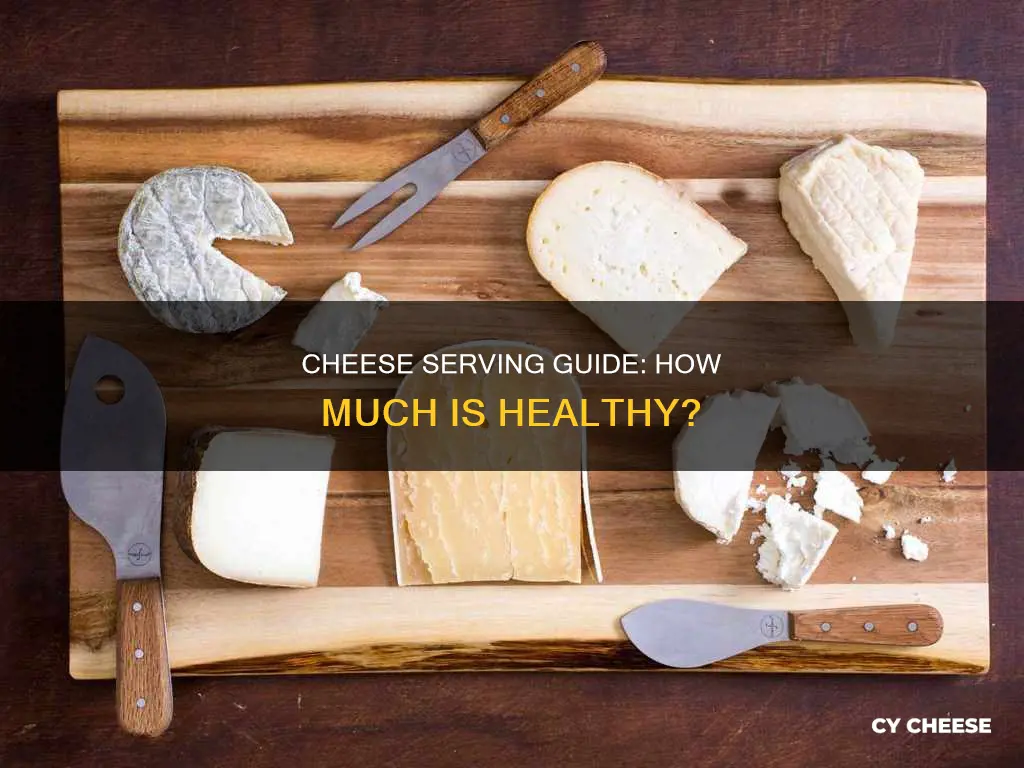 what is normal recommended serving of cheese