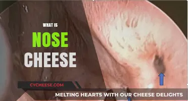 What is Nose Cheese? Unveiling the Sticky Truth Behind Rhinoliths