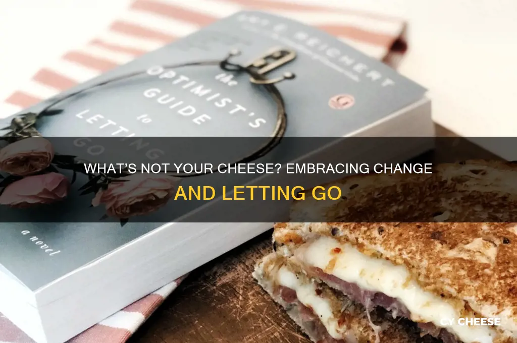 what is not your cheese