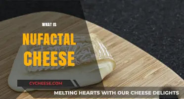 Discovering NuFactal Cheese: Origins, Flavor, and Culinary Uses Explained