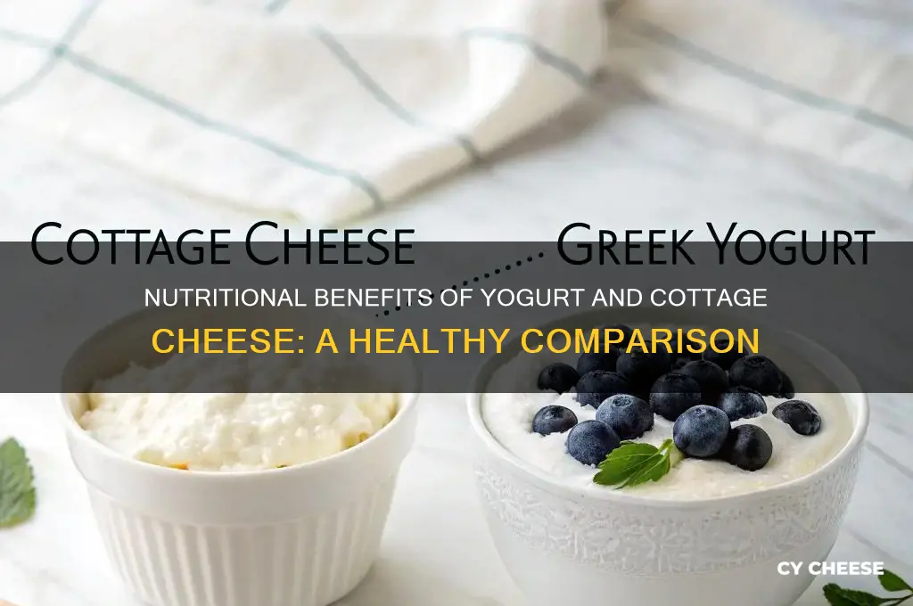 what is nutrional value of yougurt and cottage cheese